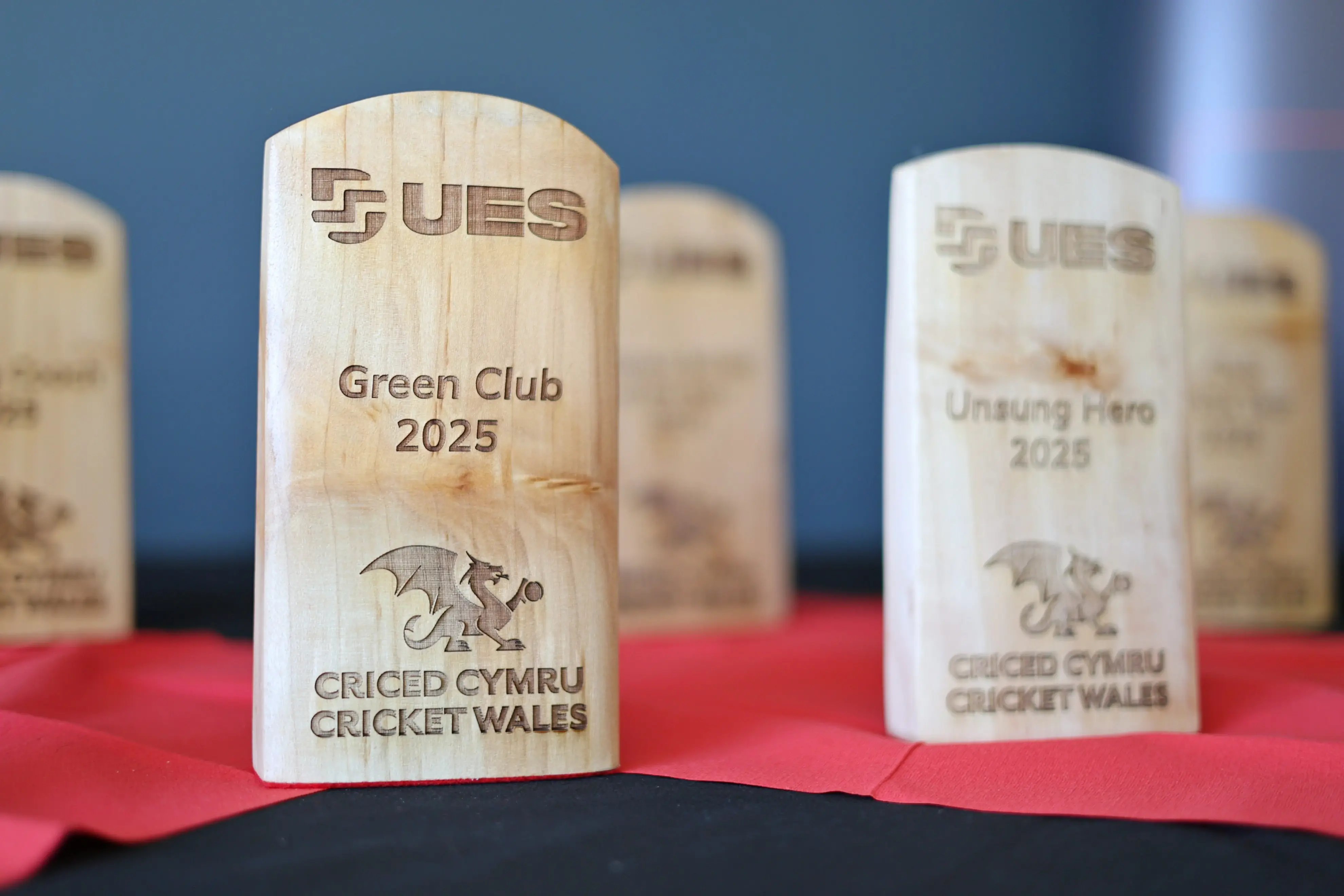 UES Cricket Collective Award - Green Club 2025